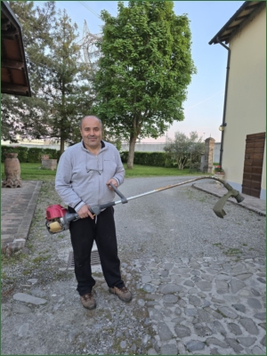 calcioreggiano.com