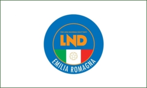 calcioreggiano.com