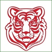 calcioreggiano.com
