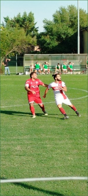 calcioreggiano.com